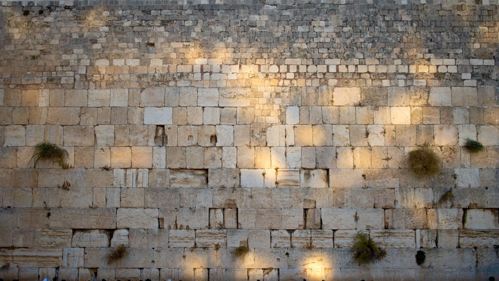 אנשים עומדים מול הכותל המערבי — תשעה באב