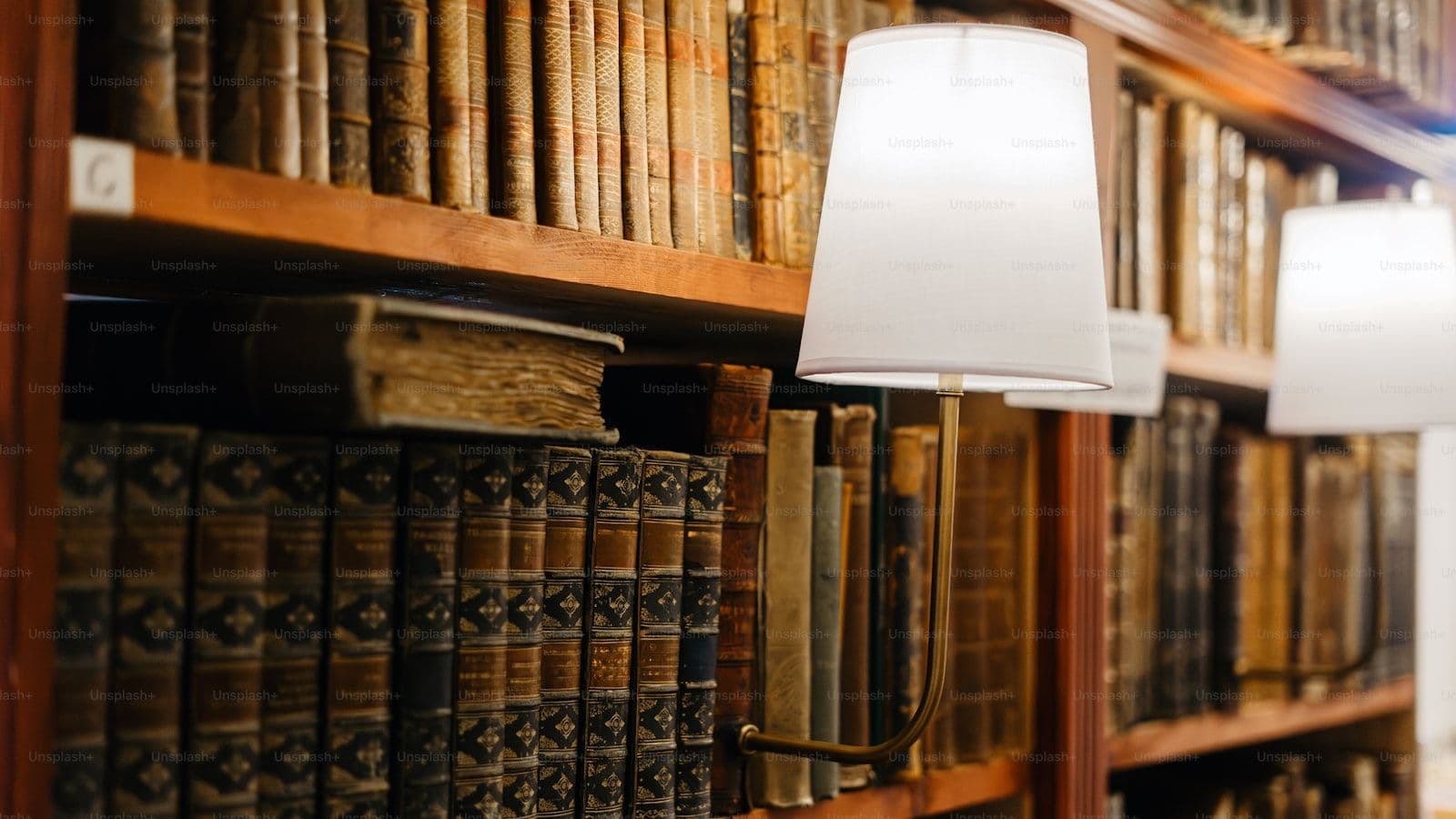 מדפים מלאים ספרים ישנים — ספרי העיון נגרסו